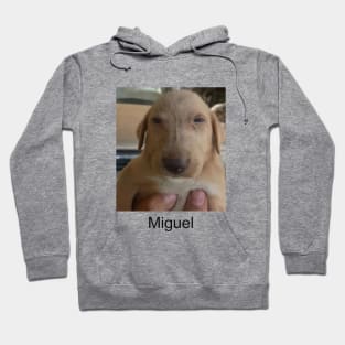 Miguel meme shitpost unisex Hoodie